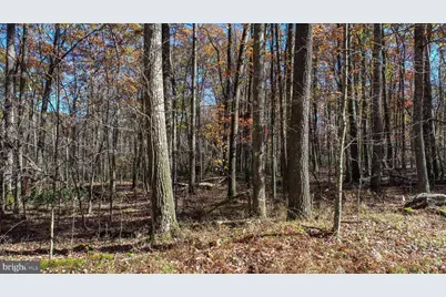 Lot 13 Dogwood Drive, Oakland, MD 21550 - Photo 9