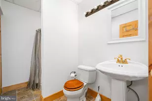 17051 Laurel Run Rd SW, Barton, MD 21521 - Photo 73