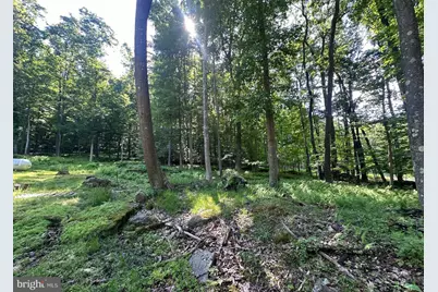 98 Bear Run Road, Oakland, MD 21550 - Photo 5