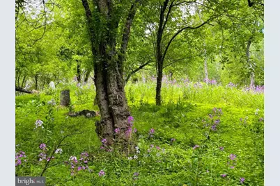 Wes Mountain Trail, Mc Henry, MD 21541 - Photo 19