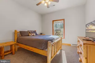 220 Woodlands Hill Ln, Oakland, MD 21550 - Photo 65