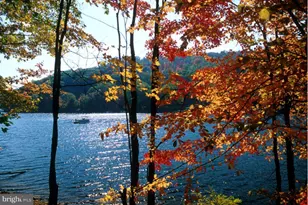 79 Marsh Hill Rd, Mc Henry, MD 21541 - Photo 47