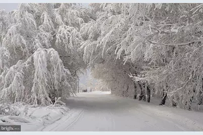 79 Marsh Hill Road #5, Mc Henry, MD 21541 - Photo 41