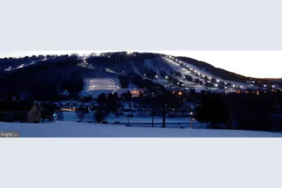 79 Marsh Hill Road #5, Mc Henry, MD 21541 - Photo 39