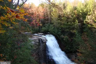 79 Marsh Hill Rd, Mc Henry, MD 21541 - Photo 45