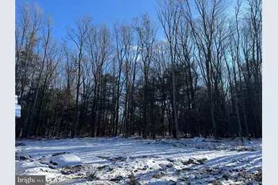 62 Wild Turkey Court, Oakland, MD 21550 - Photo 7