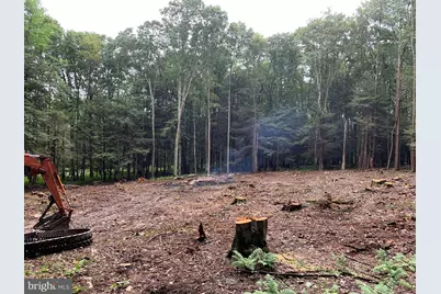 62 Wild Turkey Court, Oakland, MD 21550 - Photo 25