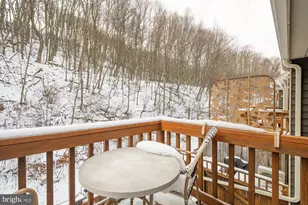 6 Winding Way, Mc Henry, MD 21541 - Photo 43