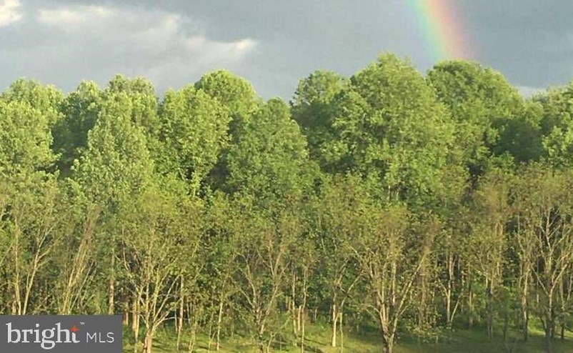 4105 Prospect Rd, Cardiff MD 21160-1309 exterior