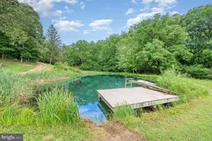 5330 Long Corner Rd, White Hall, MD 21161 - Photo 43