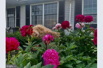 908 Priestford Road, Darlington, MD 21034 - Photo 65