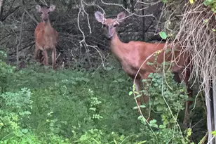 3515 Clayton Rd, Joppa, MD 21085 - Photo 1