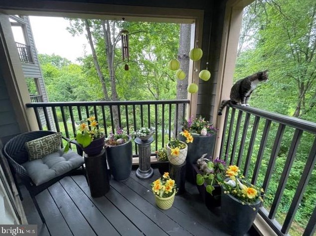 5006 Dorsey Hall Dr, Ellicott MD  21042-7737 exterior