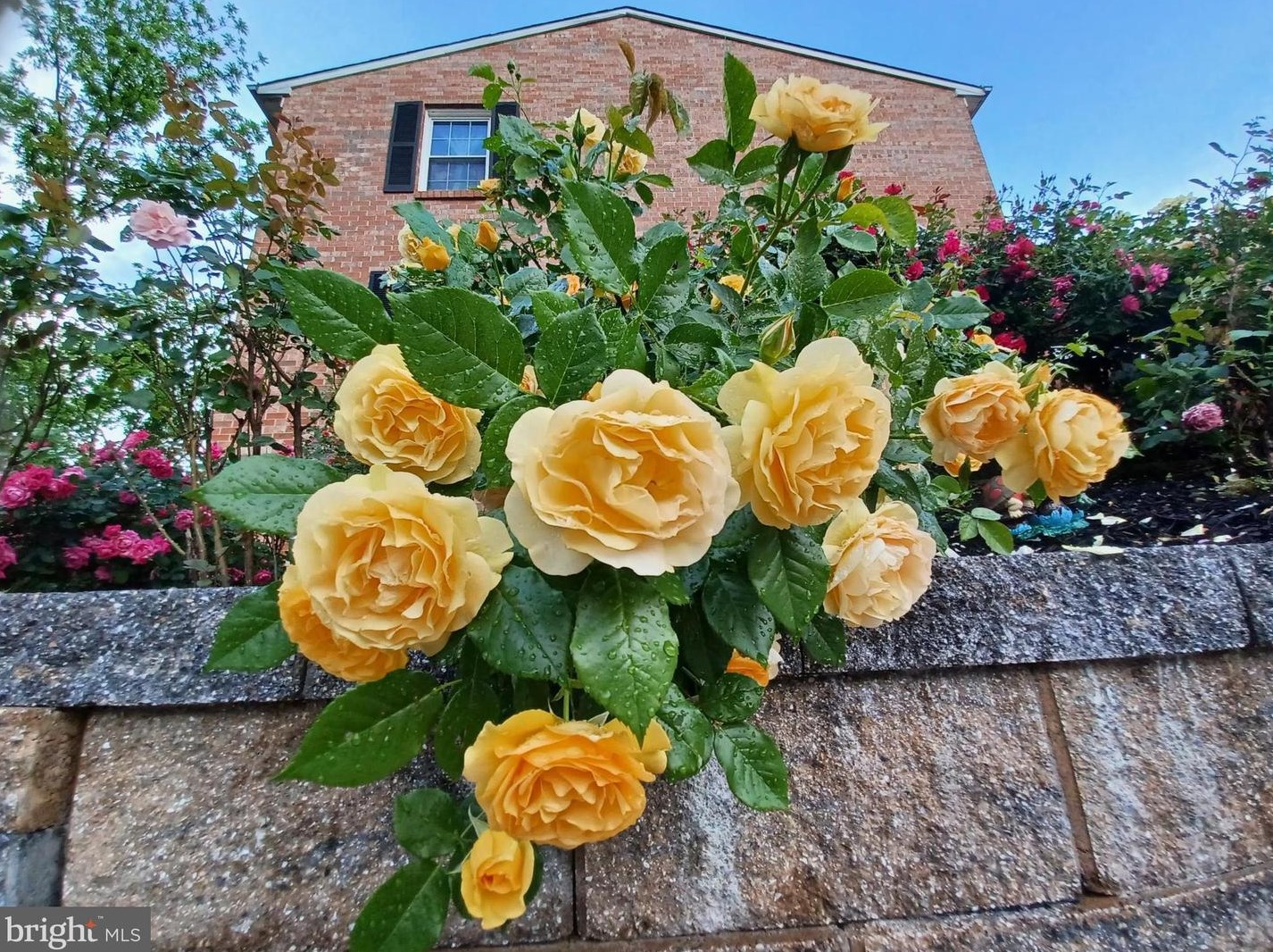 6390 Ducketts Ln, Baltimore MD 21075-6140 exterior