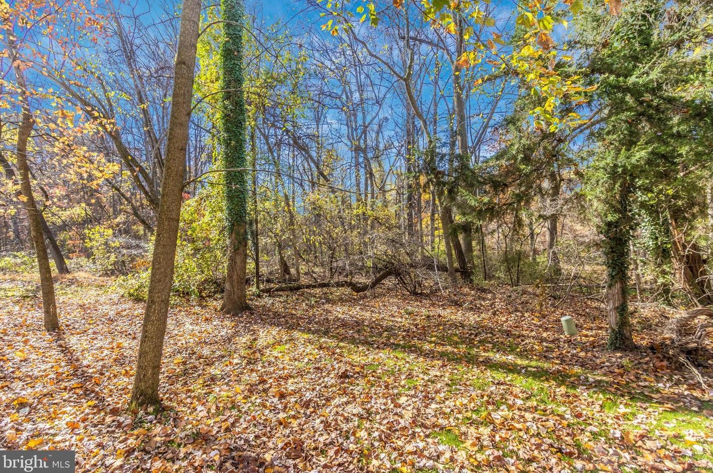 6468 Ducketts Ln, Baltimore MD 21075-6148 exterior