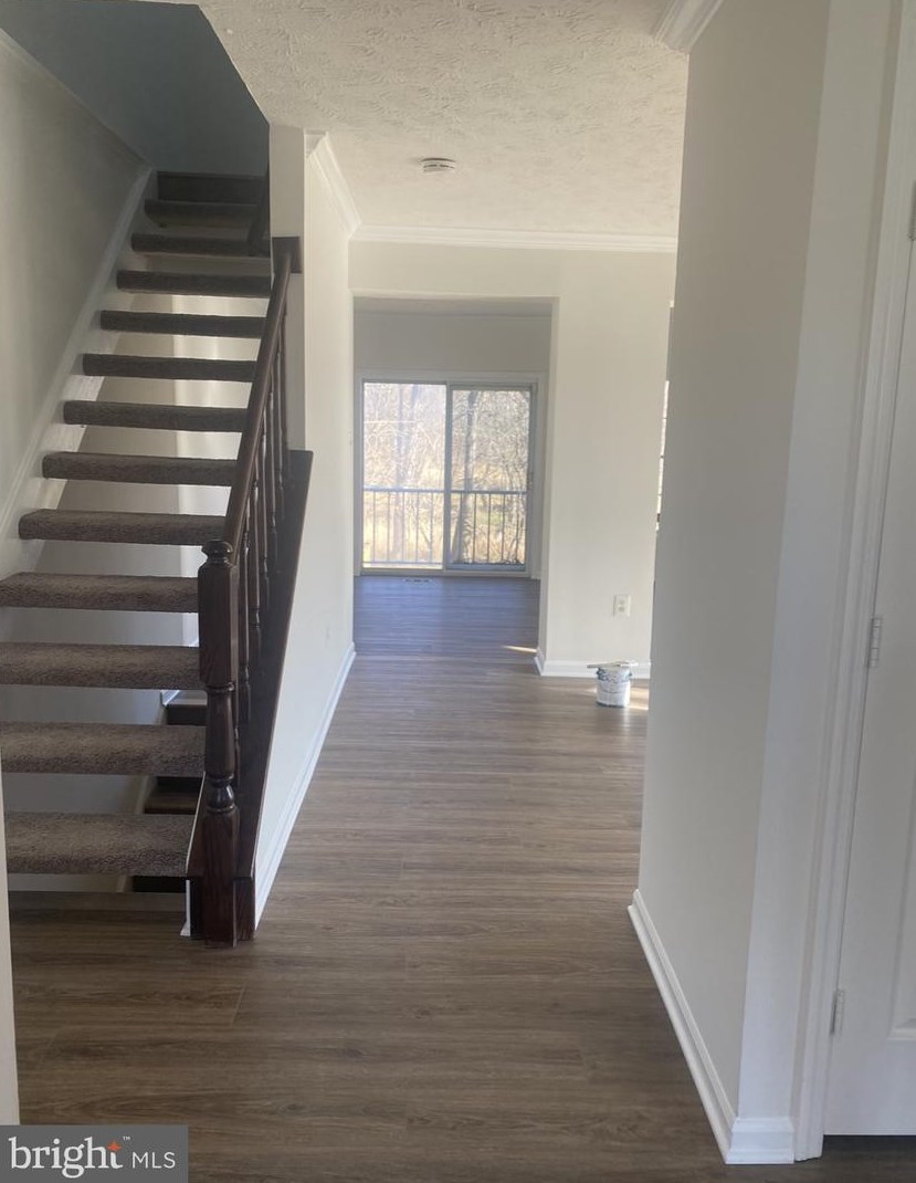 4569 Kingscup Ct, Ellicott MD  21042-5982 exterior