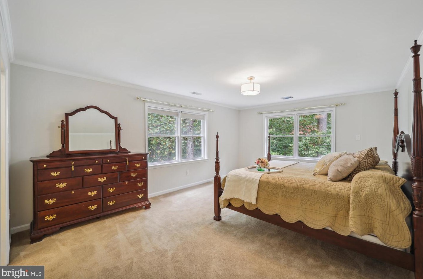 2425 Wood Stream Ct, Ellicott MD exterior