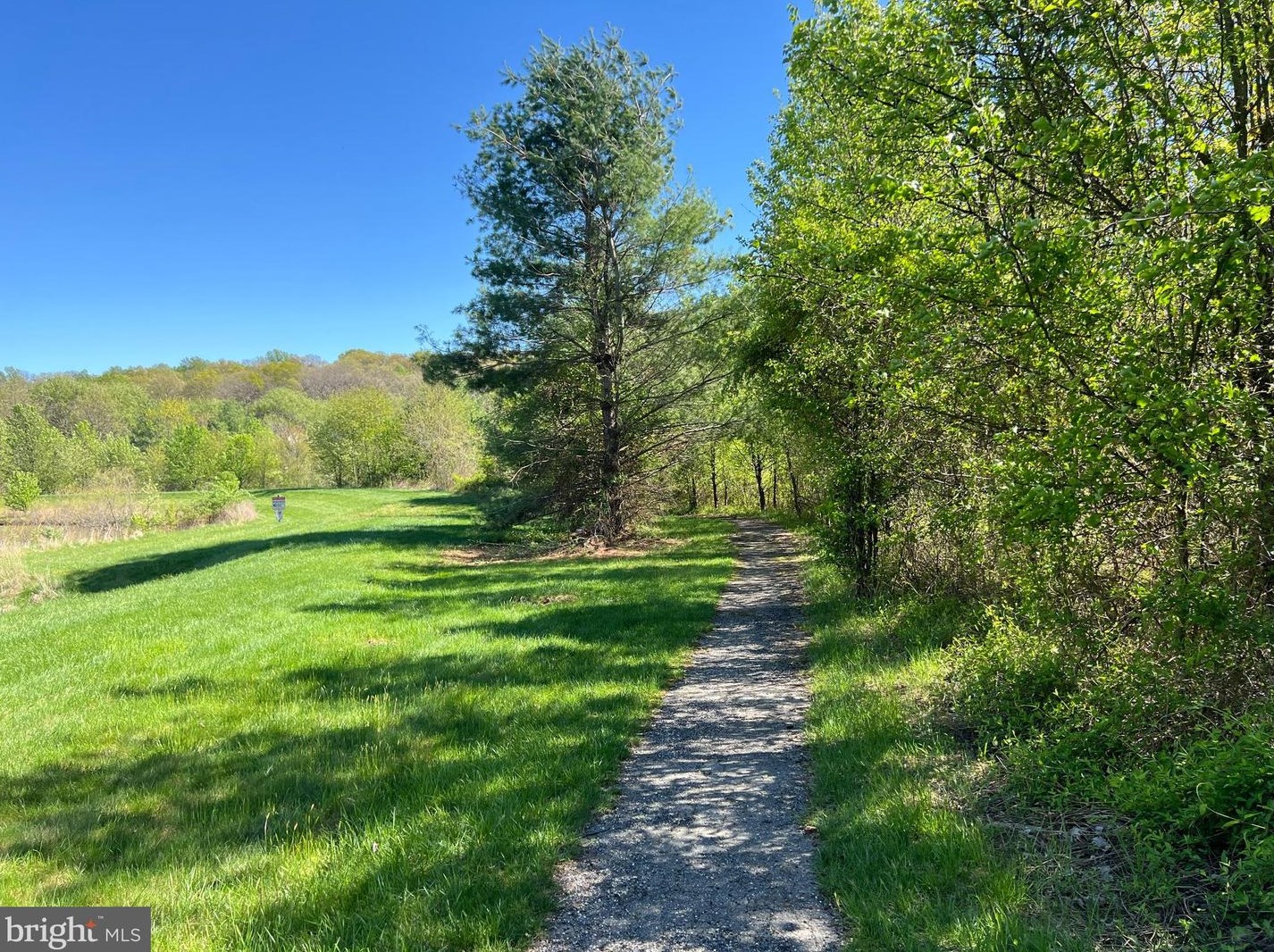 11811 Willow Br, Ellicott MD 21042-7125 exterior