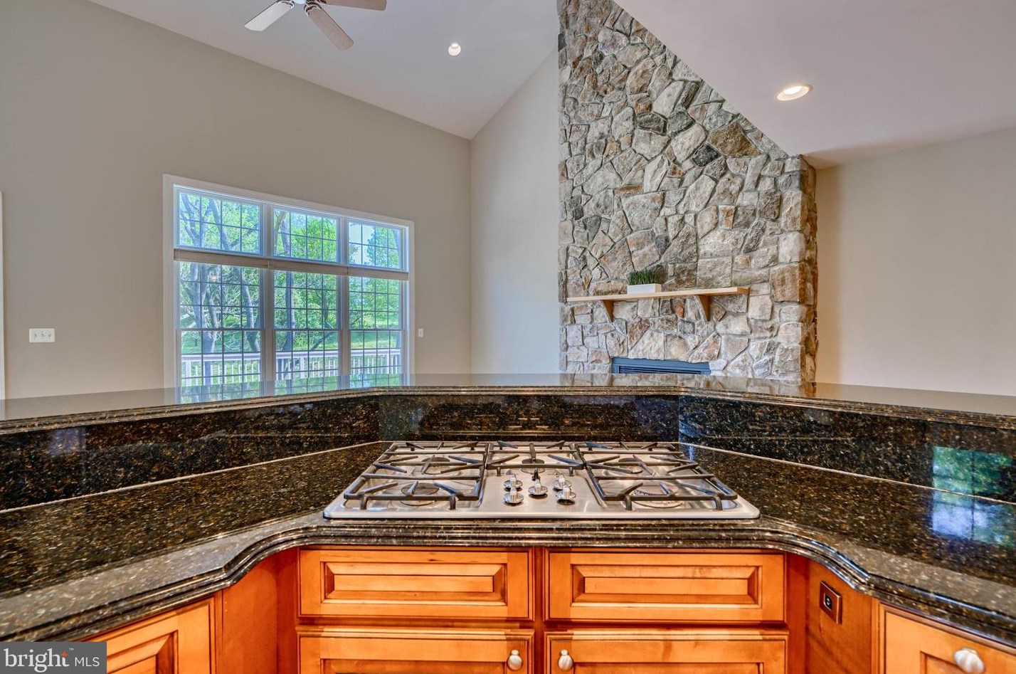 12135 Mt Albert Rd, Ellicott MD 21042-1335 exterior