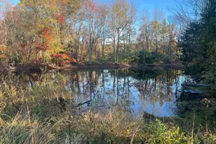 2935 Route 97, Glenwood, MD 21738 - Photo 37