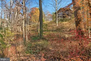 7170 Brooks Rd, Highland, MD 20777 - Photo 55