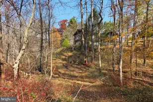 7170 Brooks Rd, Highland, MD 20777 - Photo 57