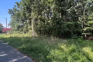 Chesterville Forest Rd, Millington, MD 21651 - Photo 1