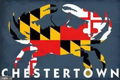 100 Metcalf Road, Chestertown, MD 21620 - Photo 3