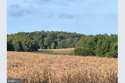 0 Will Be 11037 Bottom Road, Worton, MD 21678 - Photo 31