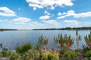 118 Little Harbor Way, Chestertown, MD 21620 - Photo 19