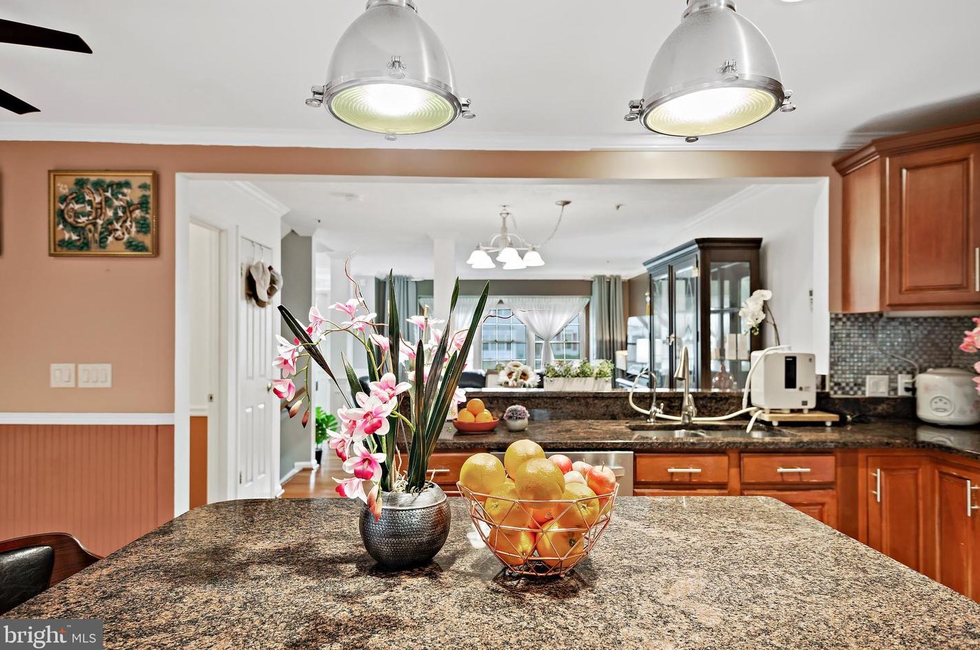 8465 Meadow Green Way, Gaithersburg MD  20877-3728 exterior