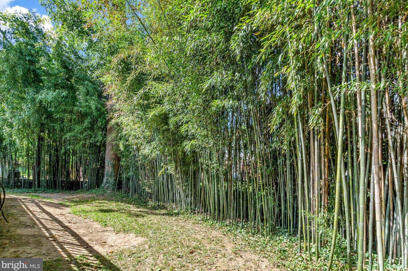 6203 Winston Dr, Bethesda MD  20817-5817 exterior