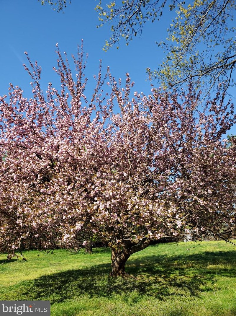 14020 Turkey Foot Rd, Gaithersburg MD  20878-3938 exterior