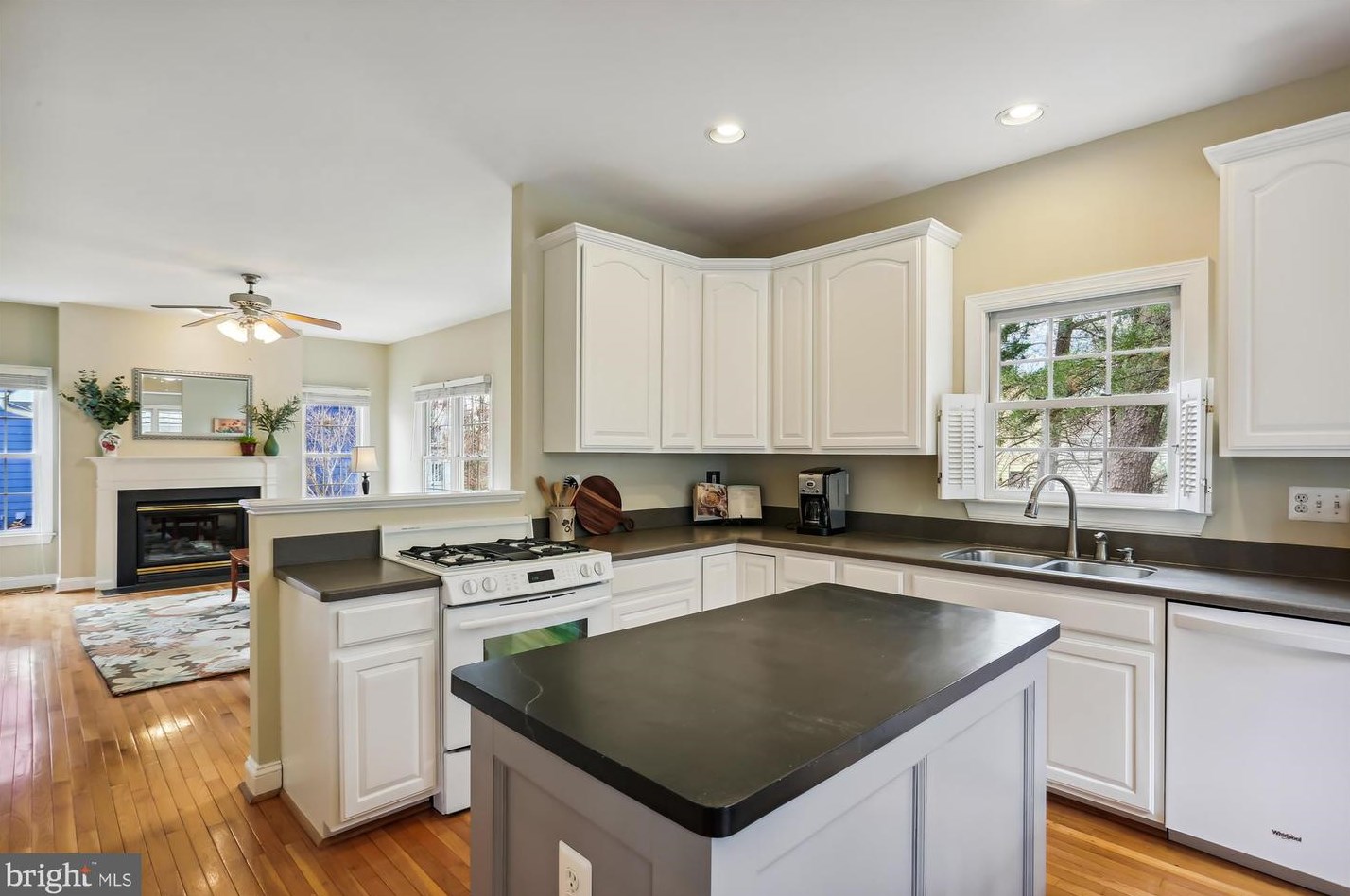 119 Thurgood St, Gaithersburg MD 20878-5746 exterior