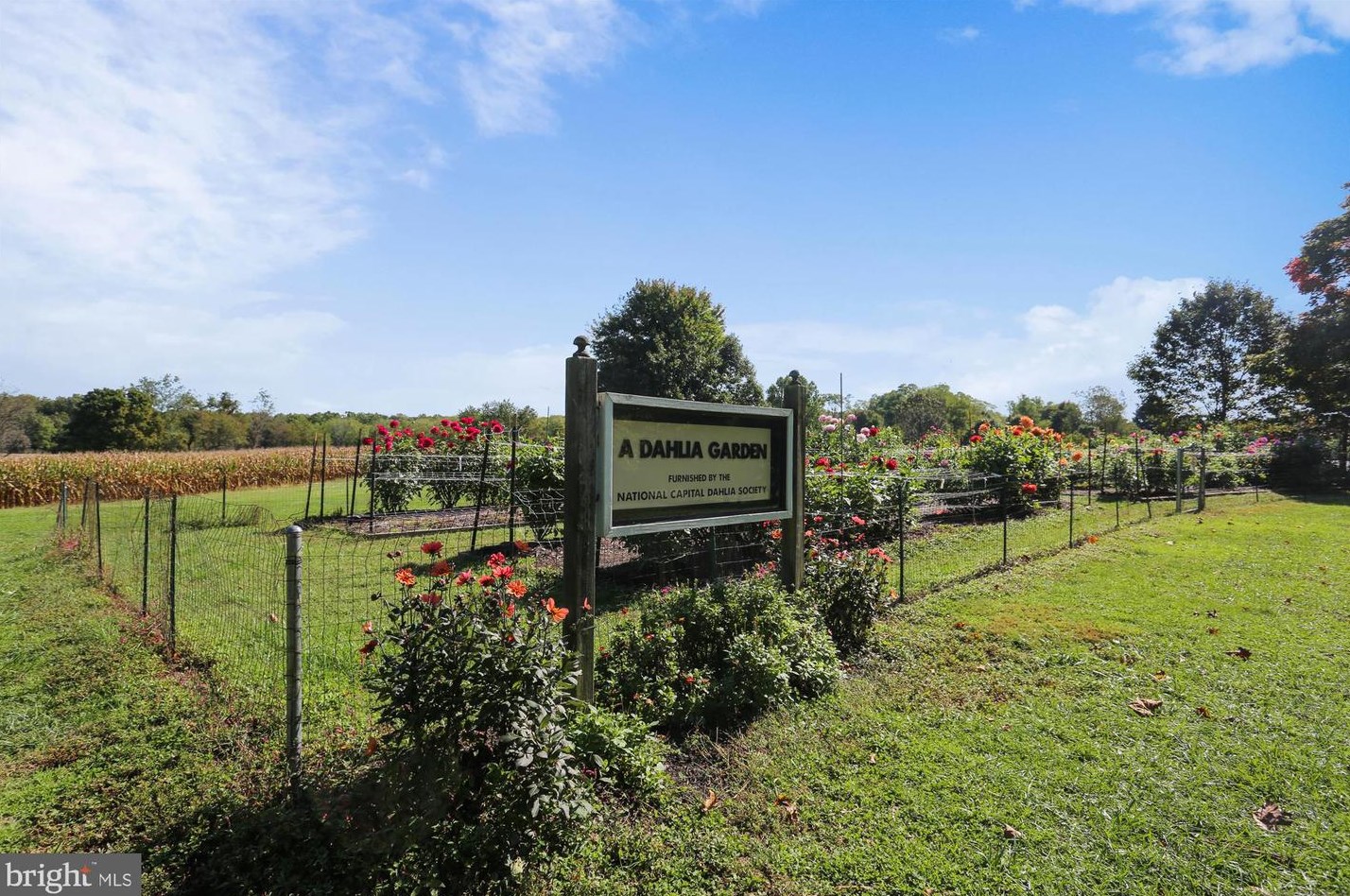 425 Christopher Ave, Gaithersburg MD  20879-3519 exterior