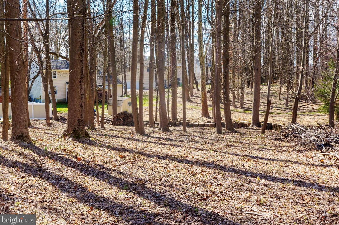 14008 Colesville Manor Pl, Silver Spring MD  20904-1100 exterior