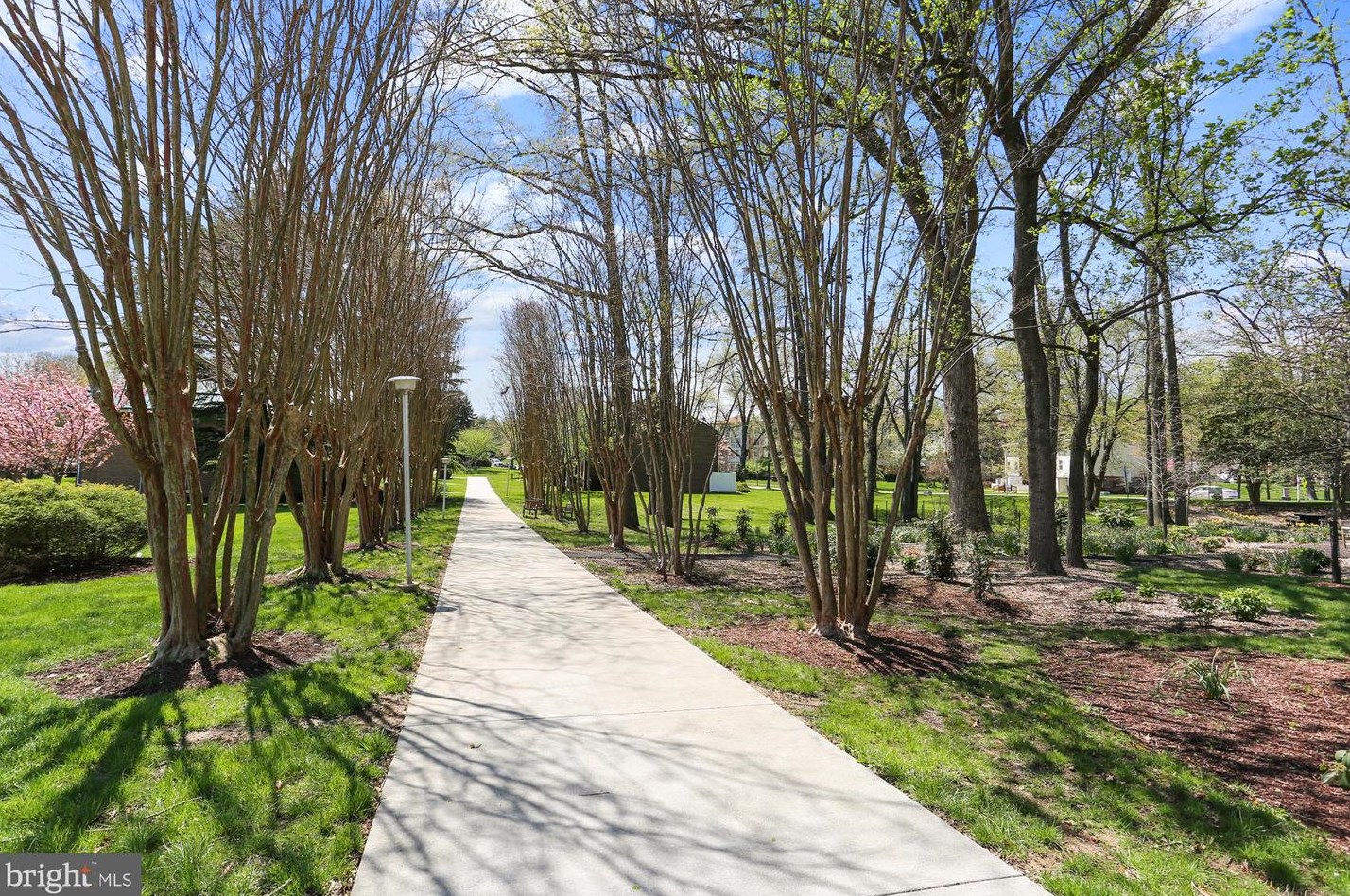 3641 Leisure World Blvd, Silver Spring MD 20906-1701 exterior