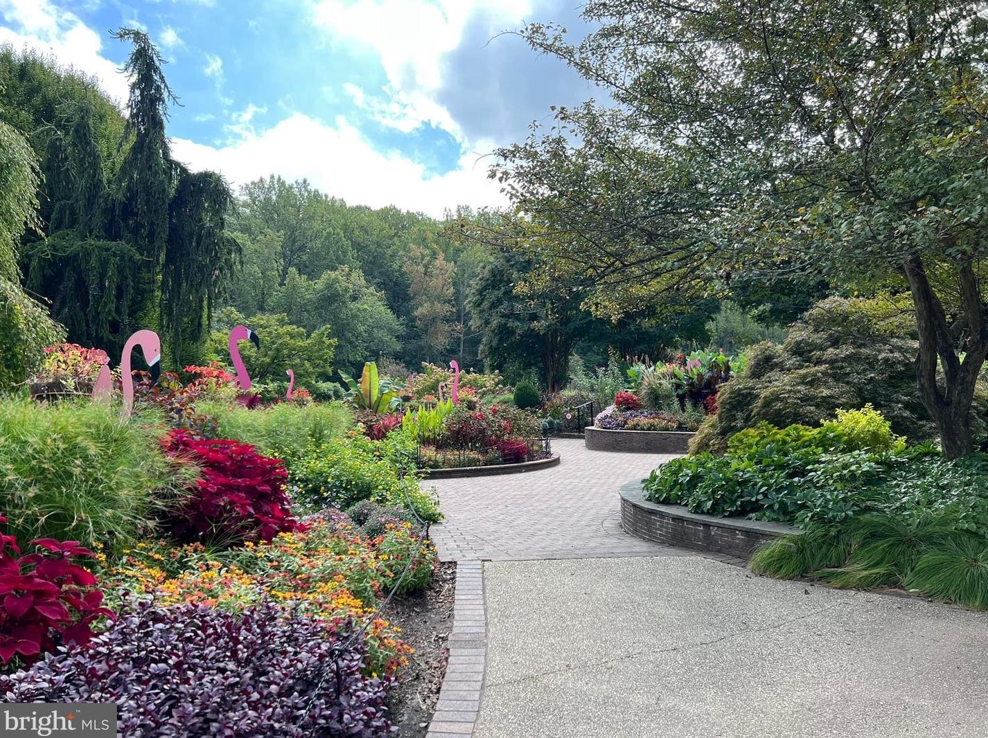 1708 Ladd St, Silver Spring MD 20902-3521 exterior