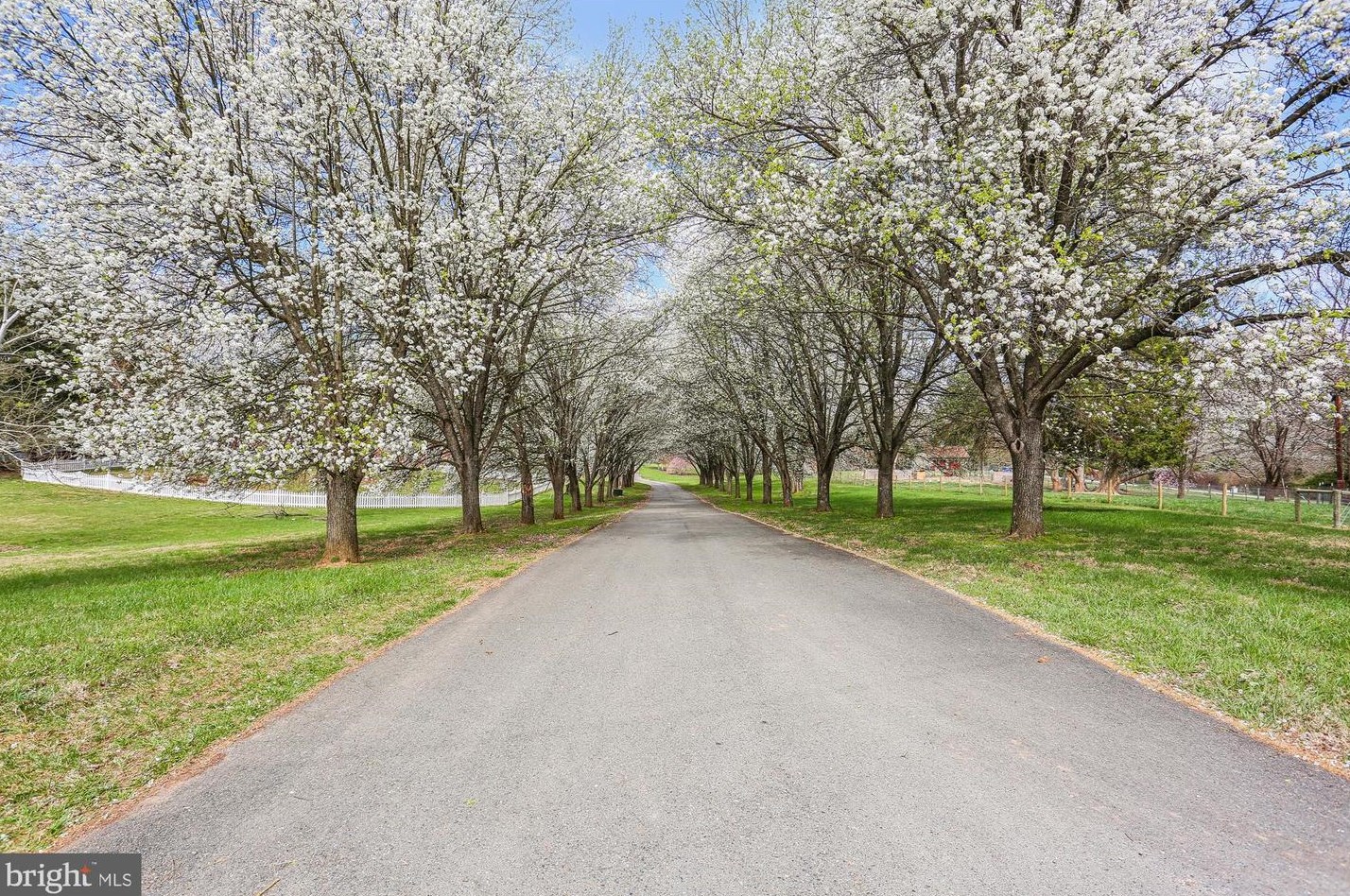 13424 Query Mill Rd, Gaithersburg MD  20878-3962 exterior