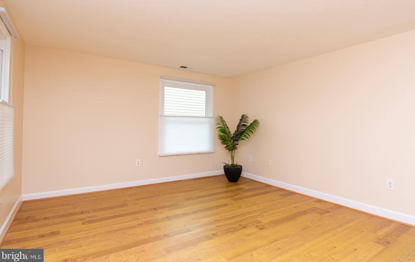 10722 Lester St, Silver Spring MD 20902-3760 exterior