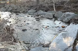 10003 Kensington Pkwy, Kensington, MD 20895 - Photo 5