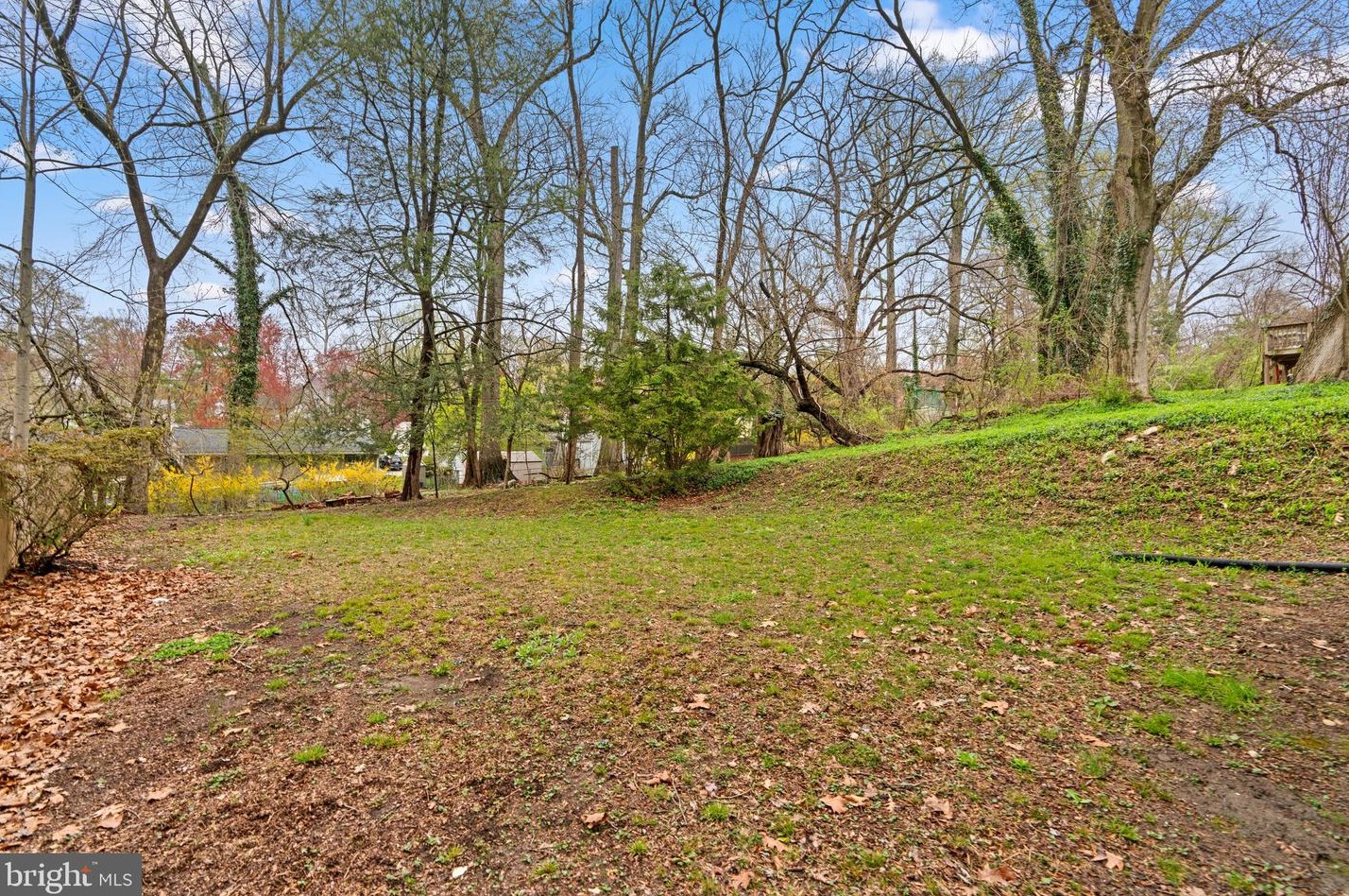 10217 Capitol View Ave, Silver Spring MD 20910-1033 exterior