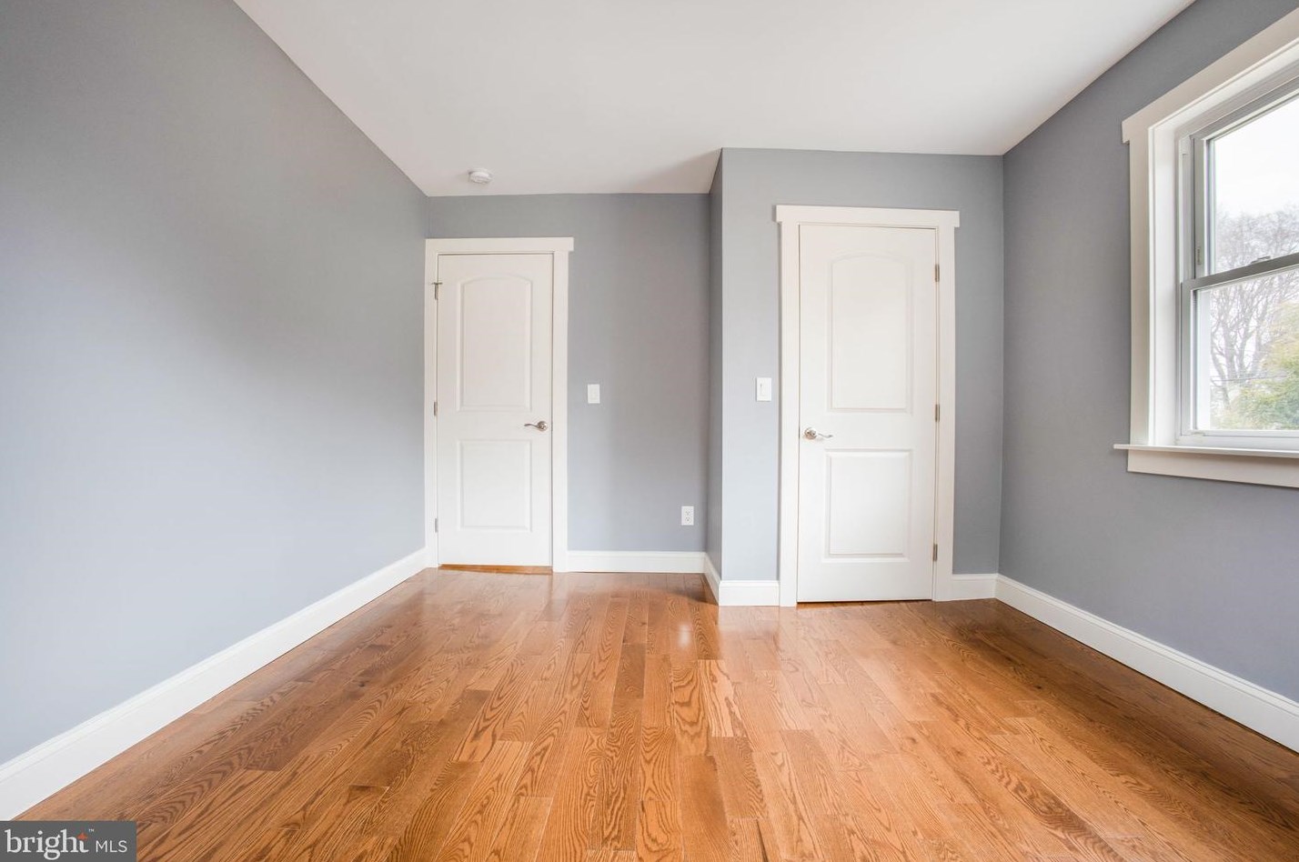 11613 College View Dr, Silver Spring MD 20902-2430 exterior