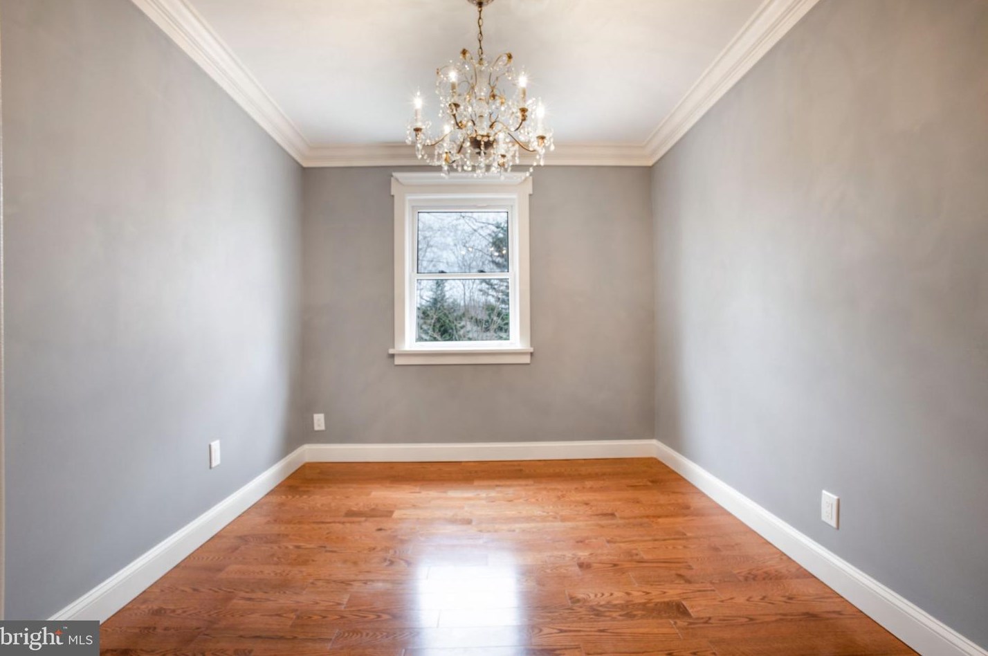 11613 College View Dr, Silver Spring MD 20902-2430 exterior