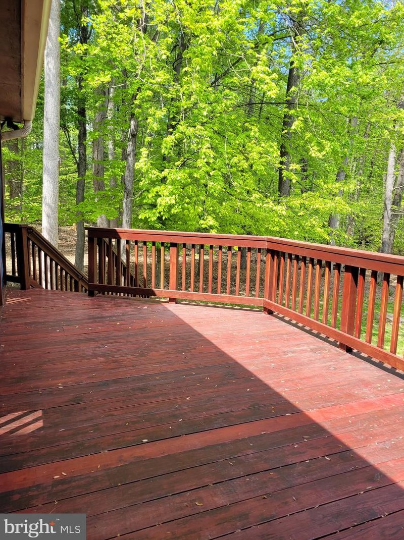 2807 Regina Dr, Silver Spring MD 20906-5354 exterior