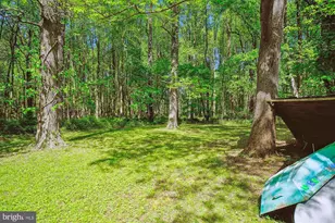 19900 New Hampshire Ave, Brinklow, MD 20862 - Photo 17