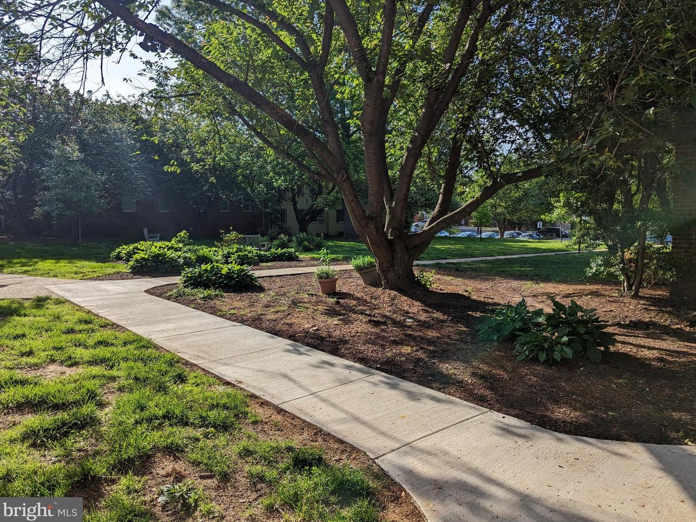 2302 Colston Dr, Silver Spring MD 20910-2514 exterior