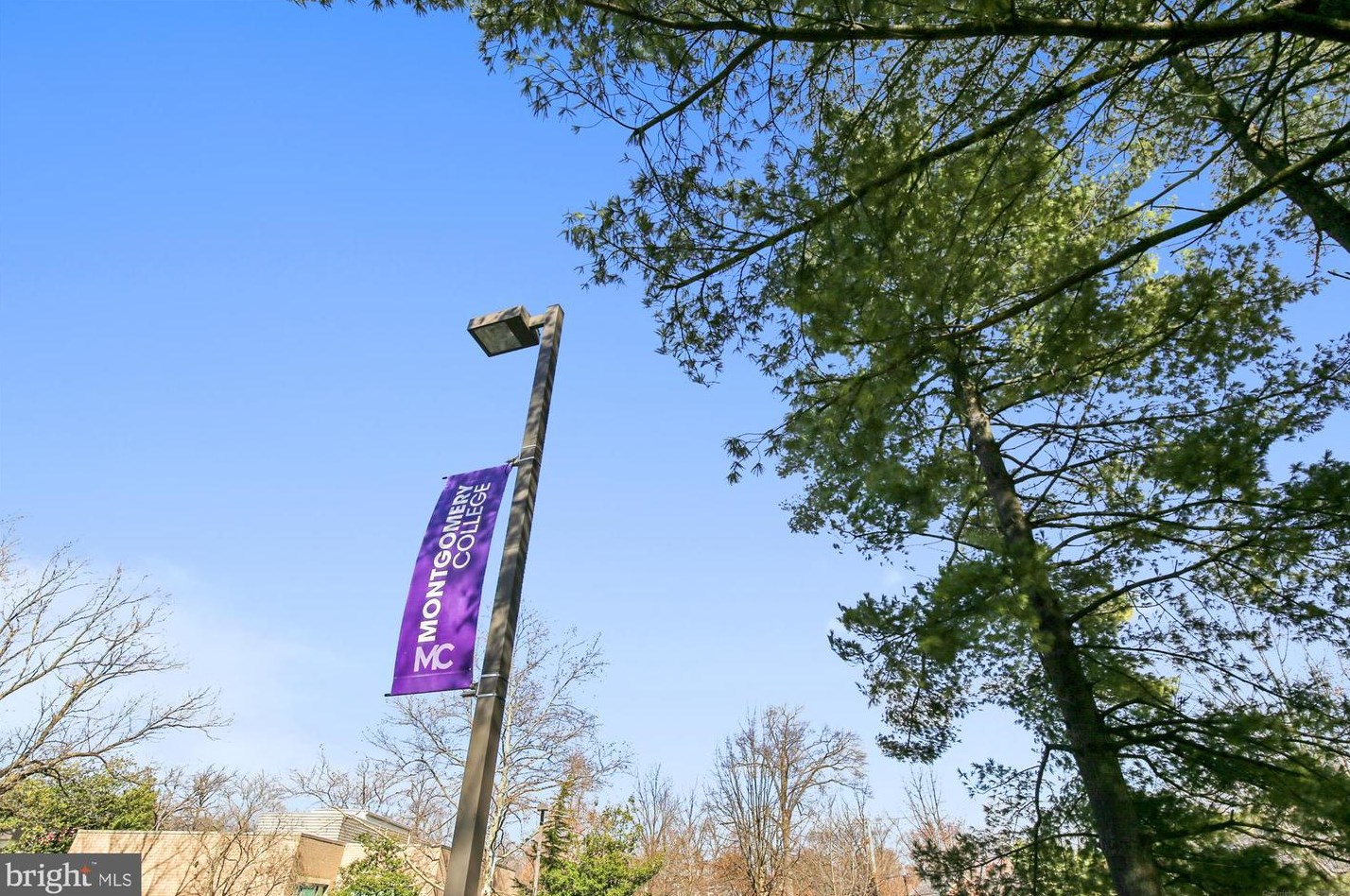 7902 Glenside Dr, Silver Spring MD 20912-7327 exterior