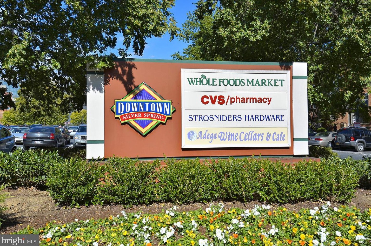 7902 Glenside Dr, Silver Spring MD 20912-7327 exterior