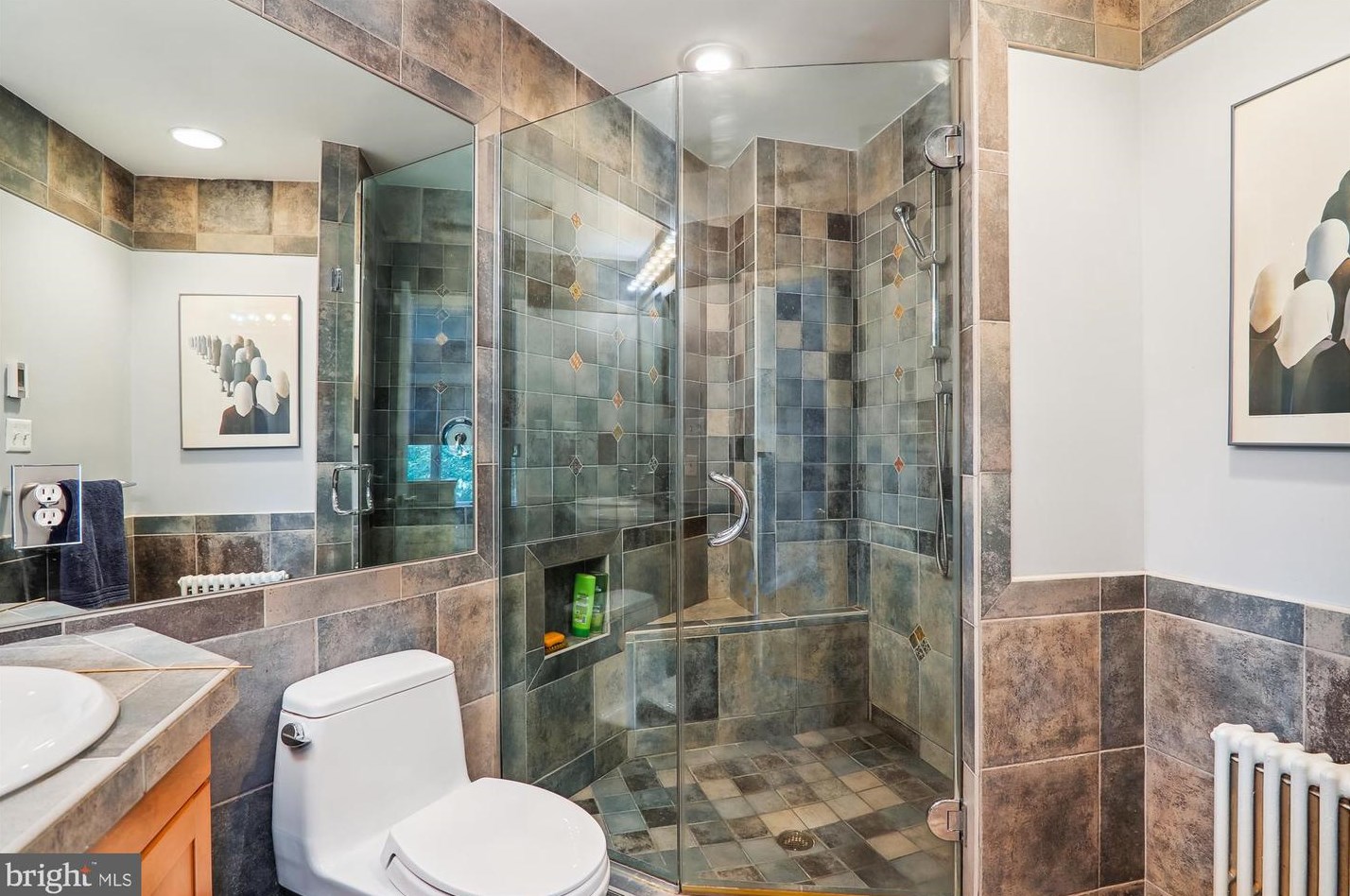 1408 Highland Dr, Silver Spring MD 20910-1524 exterior